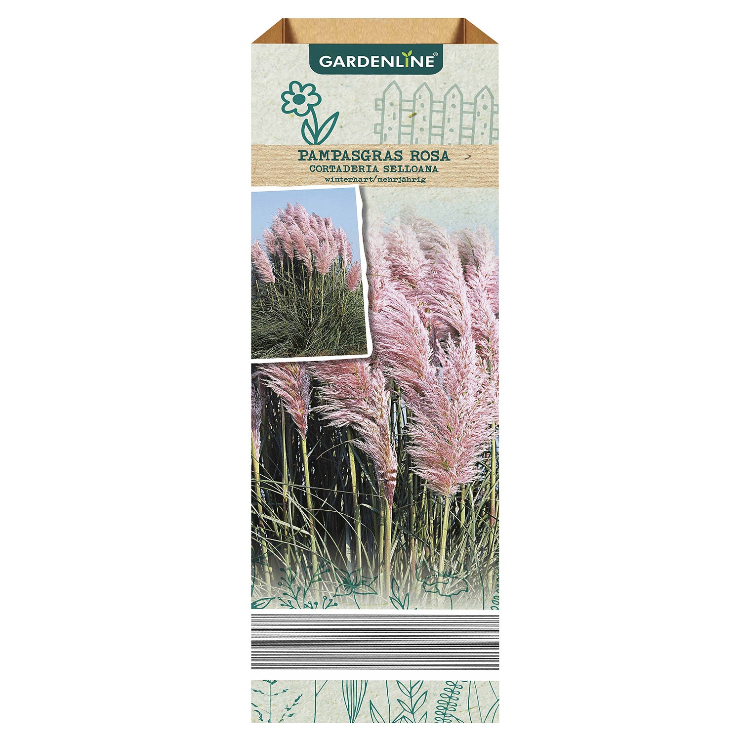 GARDENLINE, Pampasgras, rosa ALDI SÜD