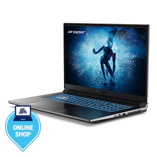 MEDION Notebook Defender P50i MD62678
