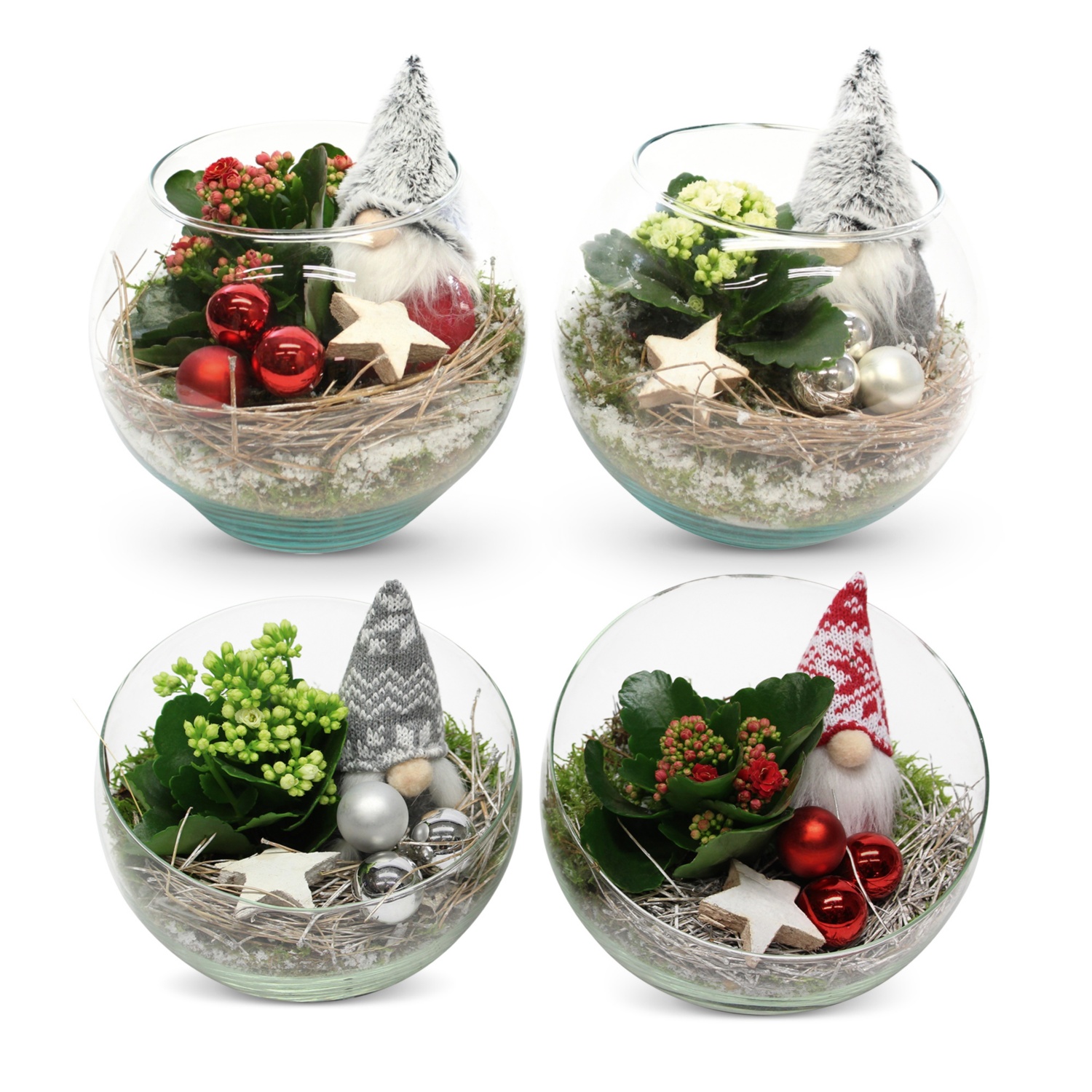 Bepflanzte Arrangements XMAS