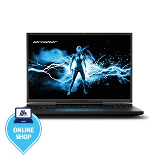 ERAZER High-End Gaming Notebook Beast X40e (MD62619)       