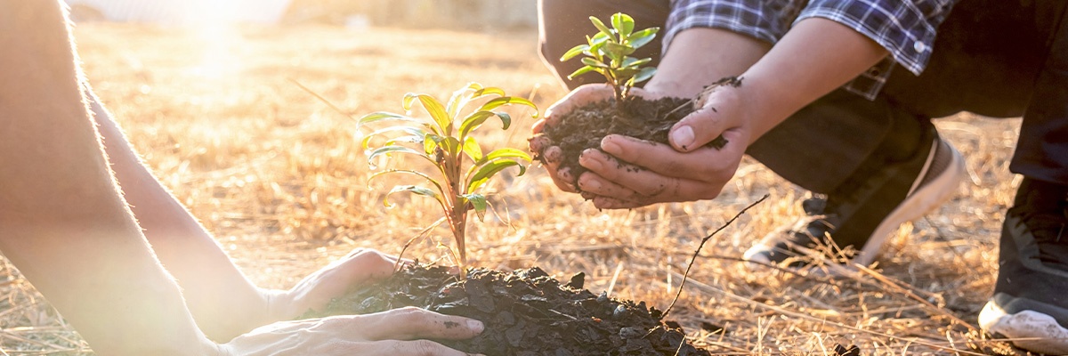 Unsere Klimaschutzmaßnahmen