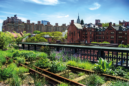 Auf dem Bild ist eine Dachterrasse mit vielfältiger Bepflanzung ersichtlich.