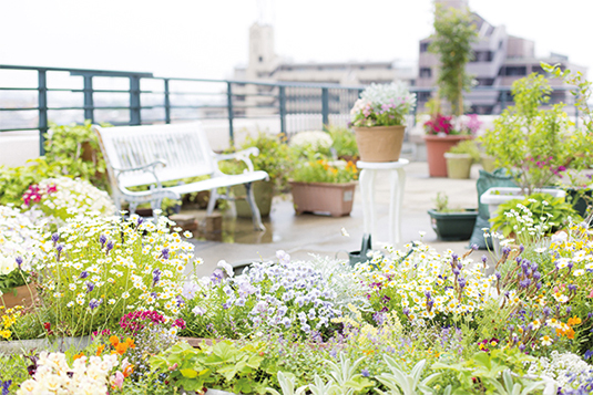Auf dem Bild ist eine Dachterrasse mit vielfältiger Bepflanzung ersichtlich. Es ist sehr hell und mit vielen Blumen.