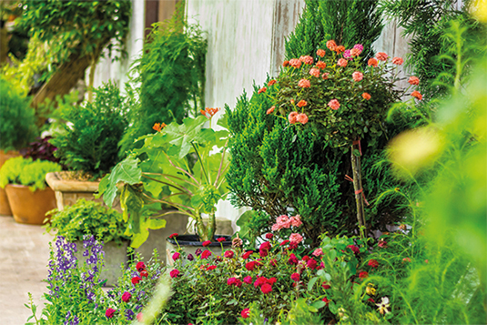 Auf dem Bild sind unterschiedliche Blumen, Pflanzen, Sträucher sowie niedrige Bäume ersichtlich.