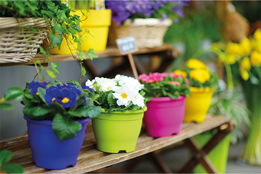 Auf diesem Bild sind blaue, weiße, rosa und gelbe Blumen ersichtlich. Die Blumentöpfe sind in der jeweiligen Farbe der Blumen.