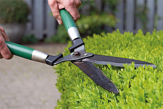 Auf dem Bild wird eine Hecke wird gestutzt.