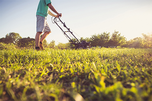 Auf dem Bild ist eine Person mit kurzer Hose und einem grünen T-Shirt, welche bei einem Sonnenuntergang den Rasen mäht.