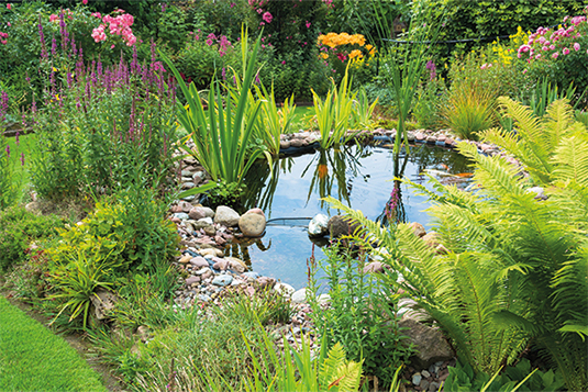 Auf dem Bild ist ein kleiner Teich mit Bepflanzungen ersichtlich.