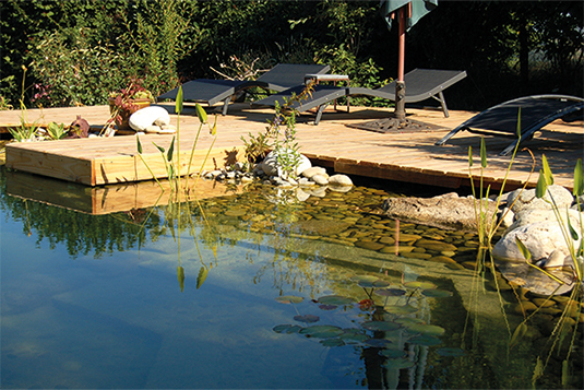 Auf dem Bild ist ein Schwimmteich ersichtlich. Im Hintergrund ist ein Steg mit Liegen und einem Sonnenschirm. Aus dem Teich ranken ein paar große Steine und Bepflanzungen