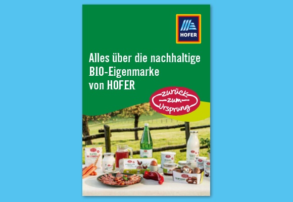 Zurück zum Ursprung - Fibel