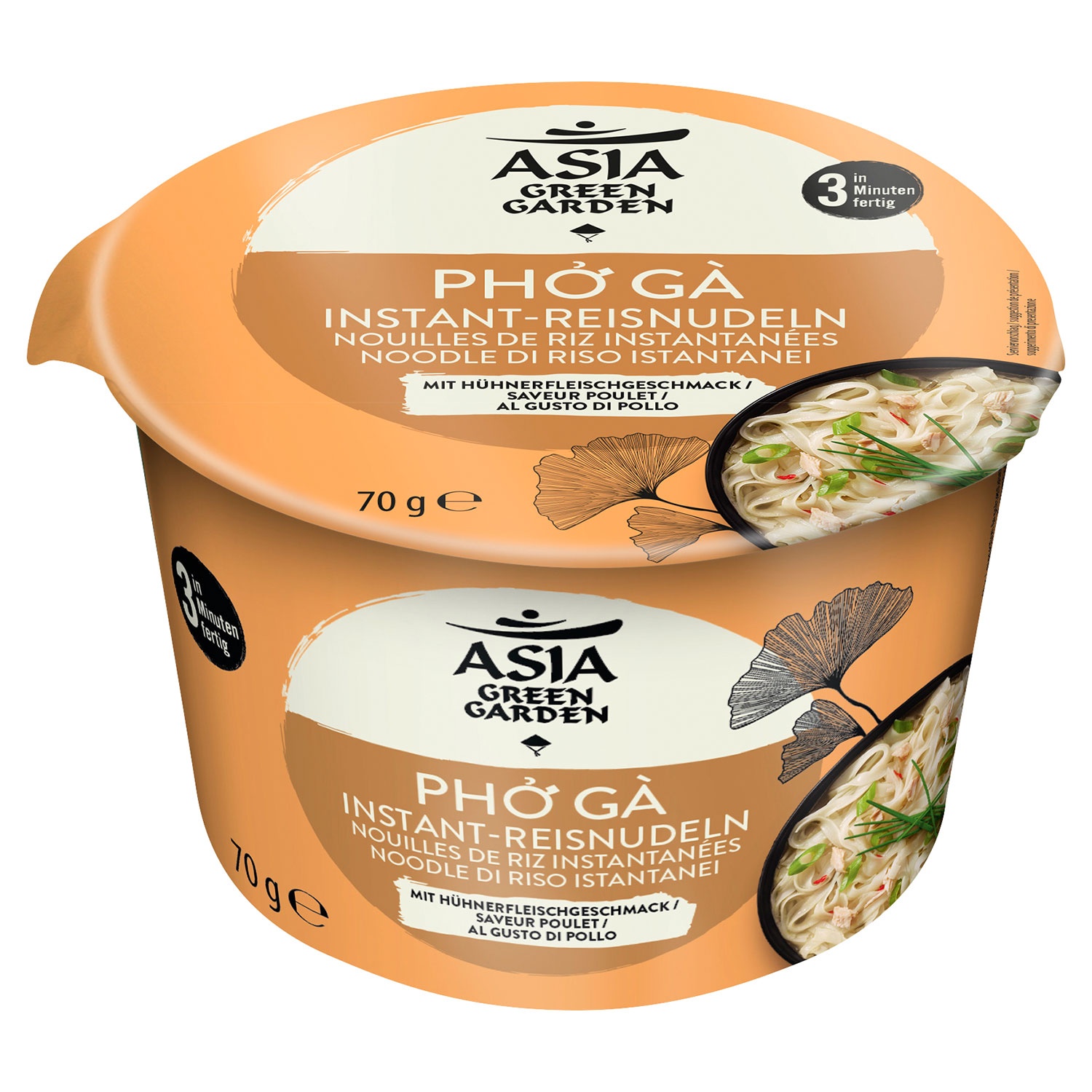 ASIA GREEN GARDEN Vietnam Pho Suppen, Hühnchen