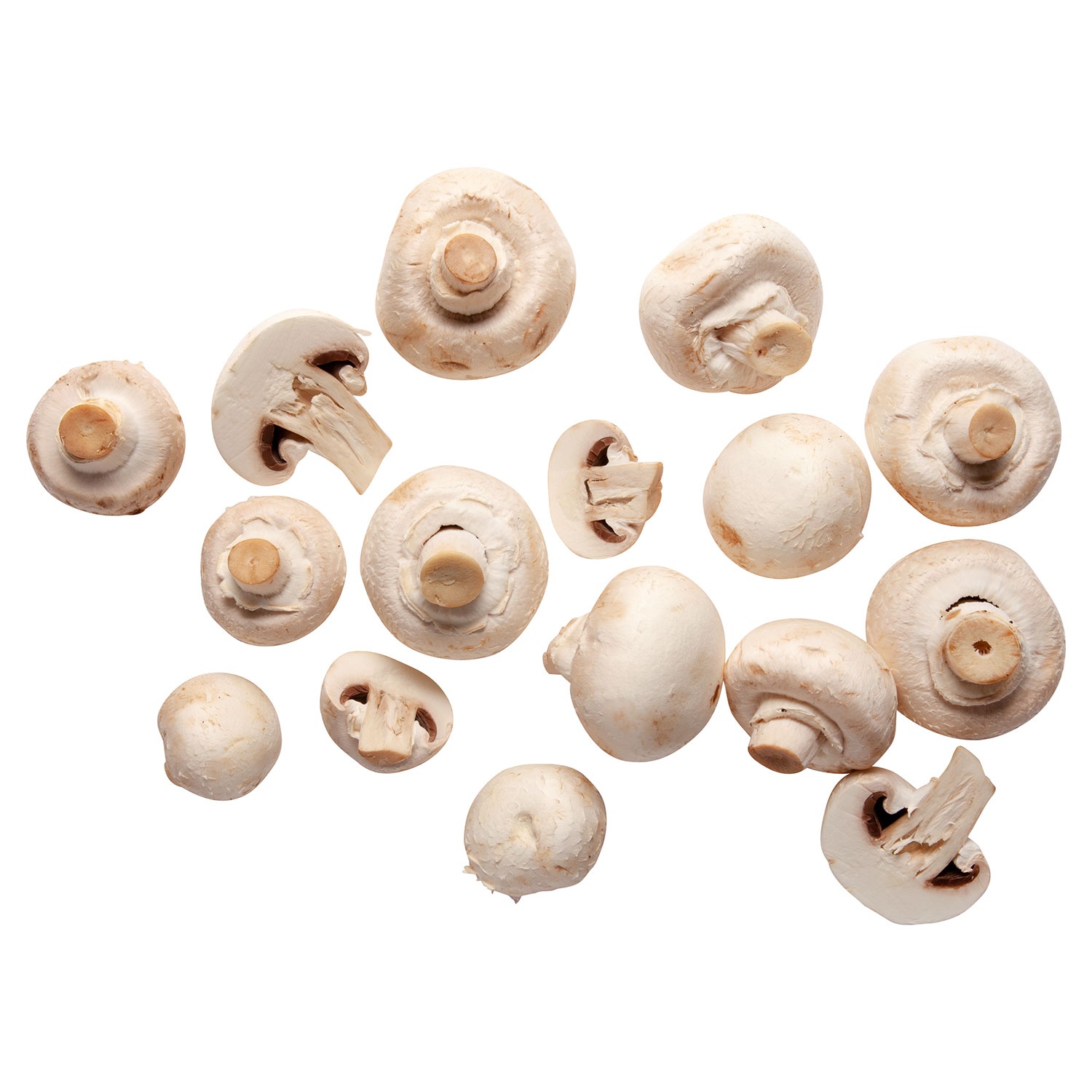 Champignons weiß, 400 g