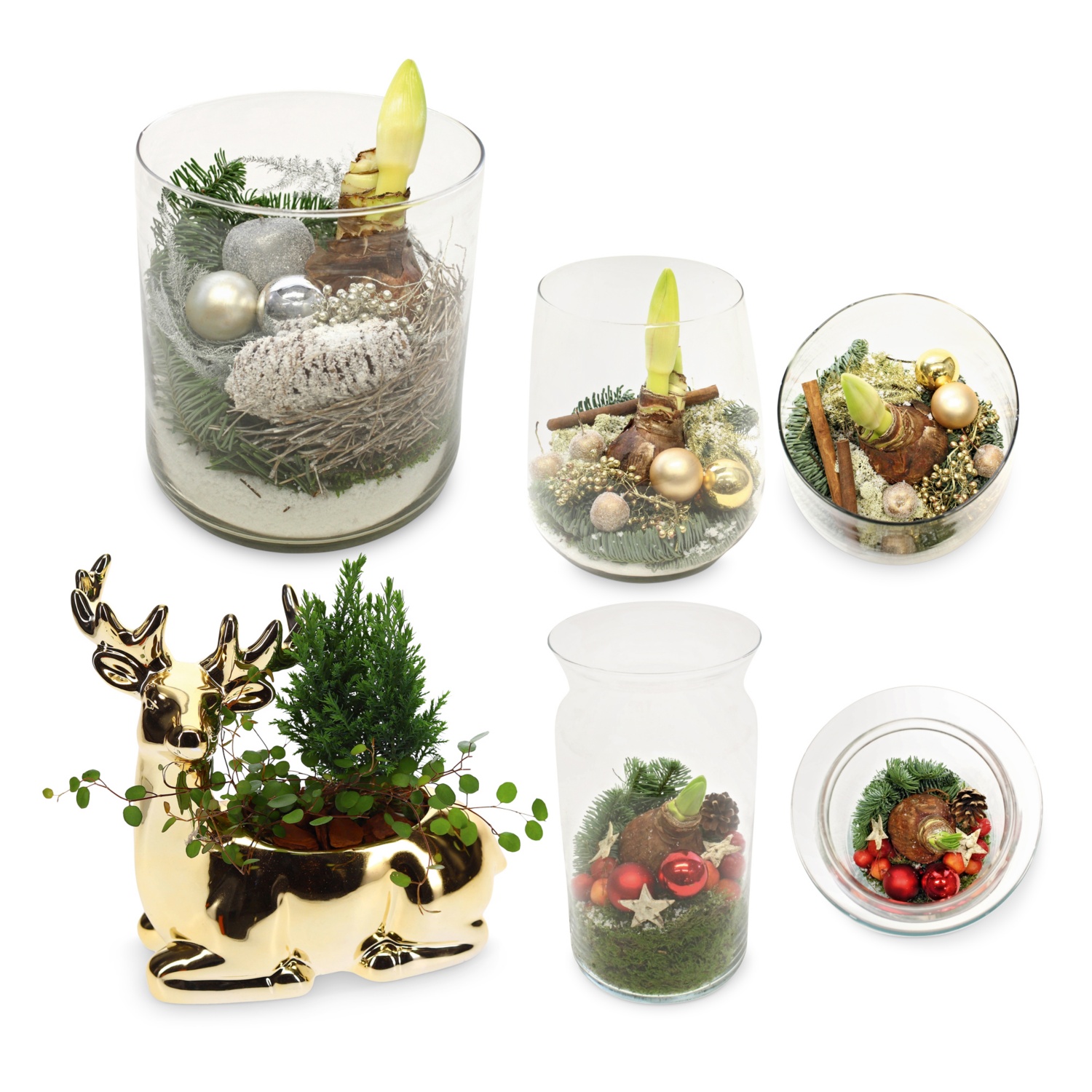 bepflanzte Arrangements XMAS