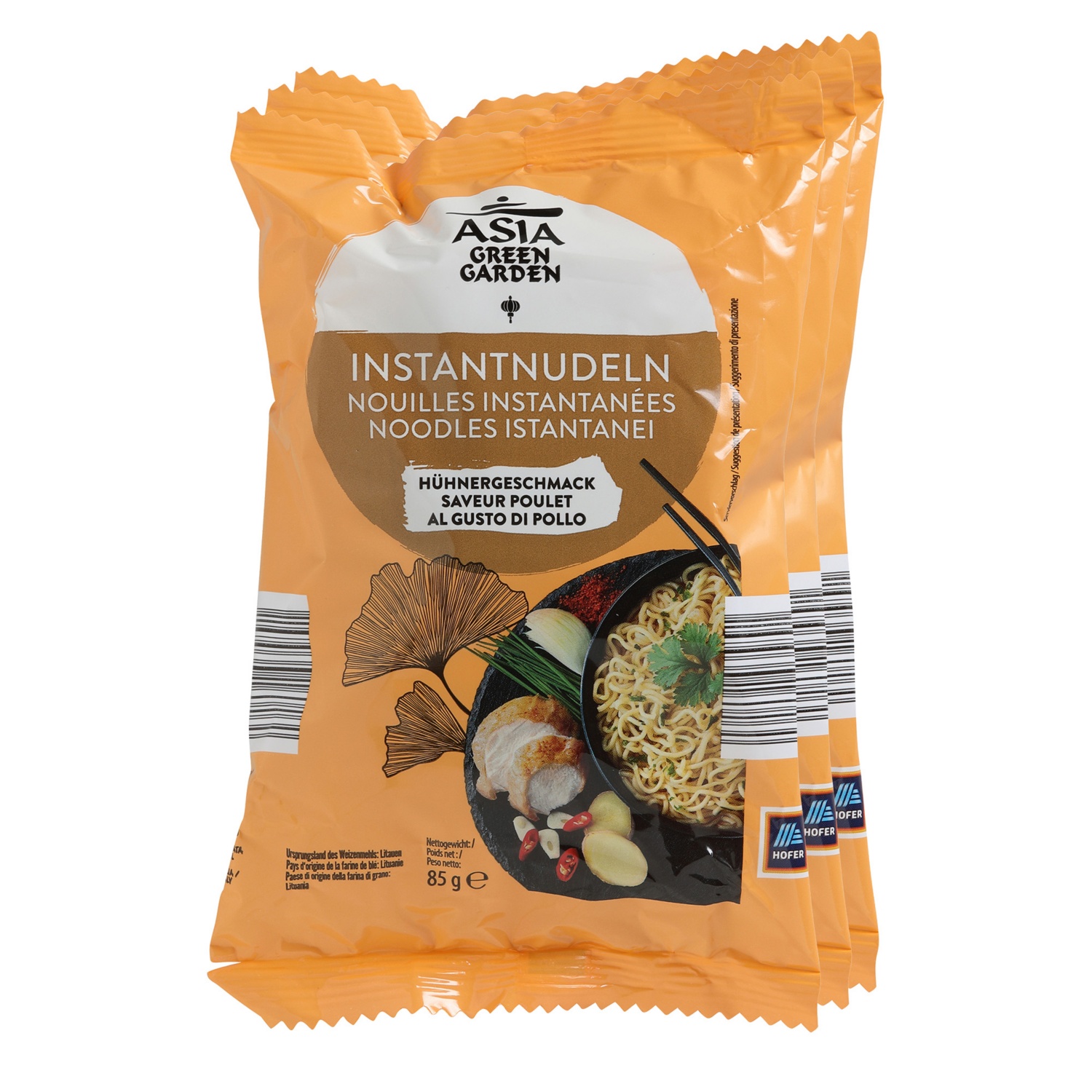 ASIA GREEN GARDEN Instant Nudeln, Huhn
