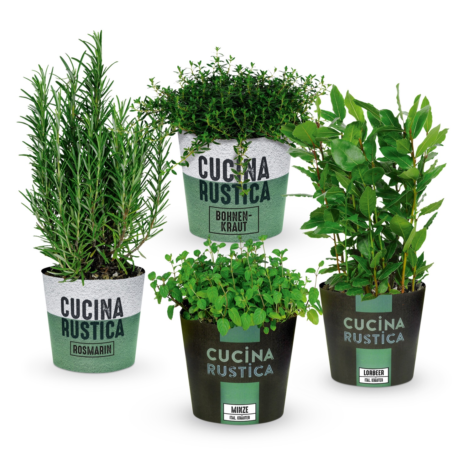 GARDENLINE GARDENLINE Gewürzkräuter