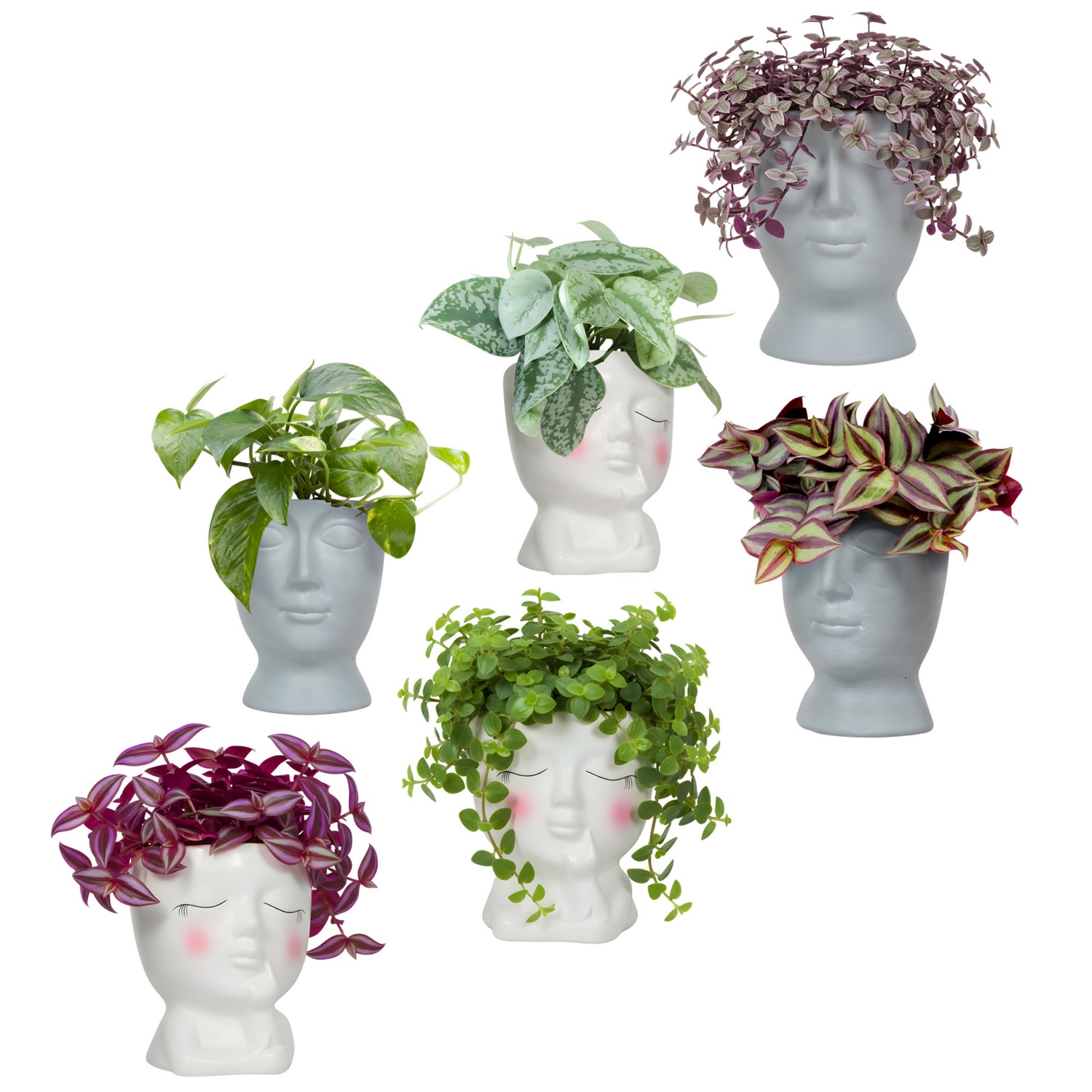 GARDENLINE Plante verte dans un pot en céramique en forme de tête