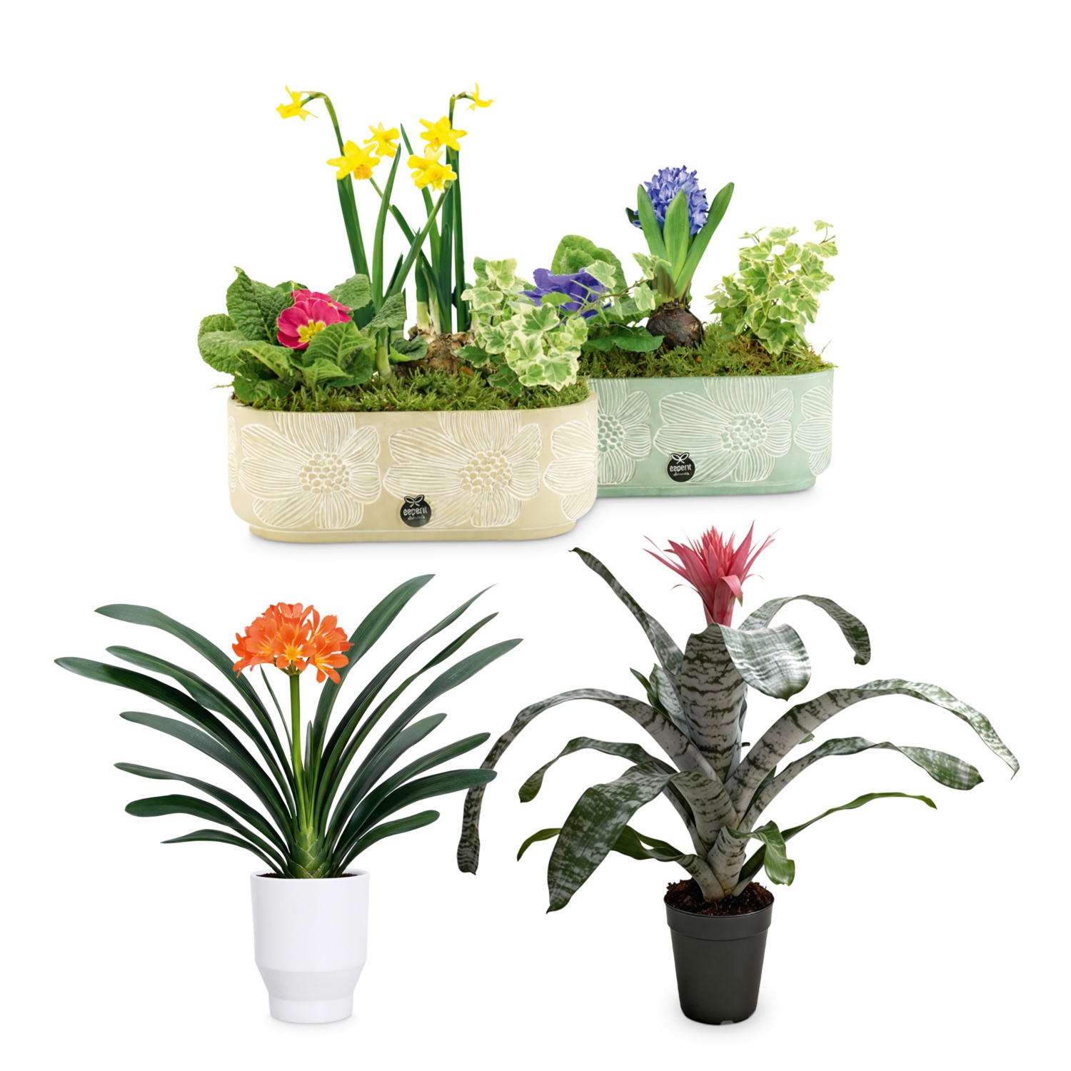 Composizione primaverile in cemento