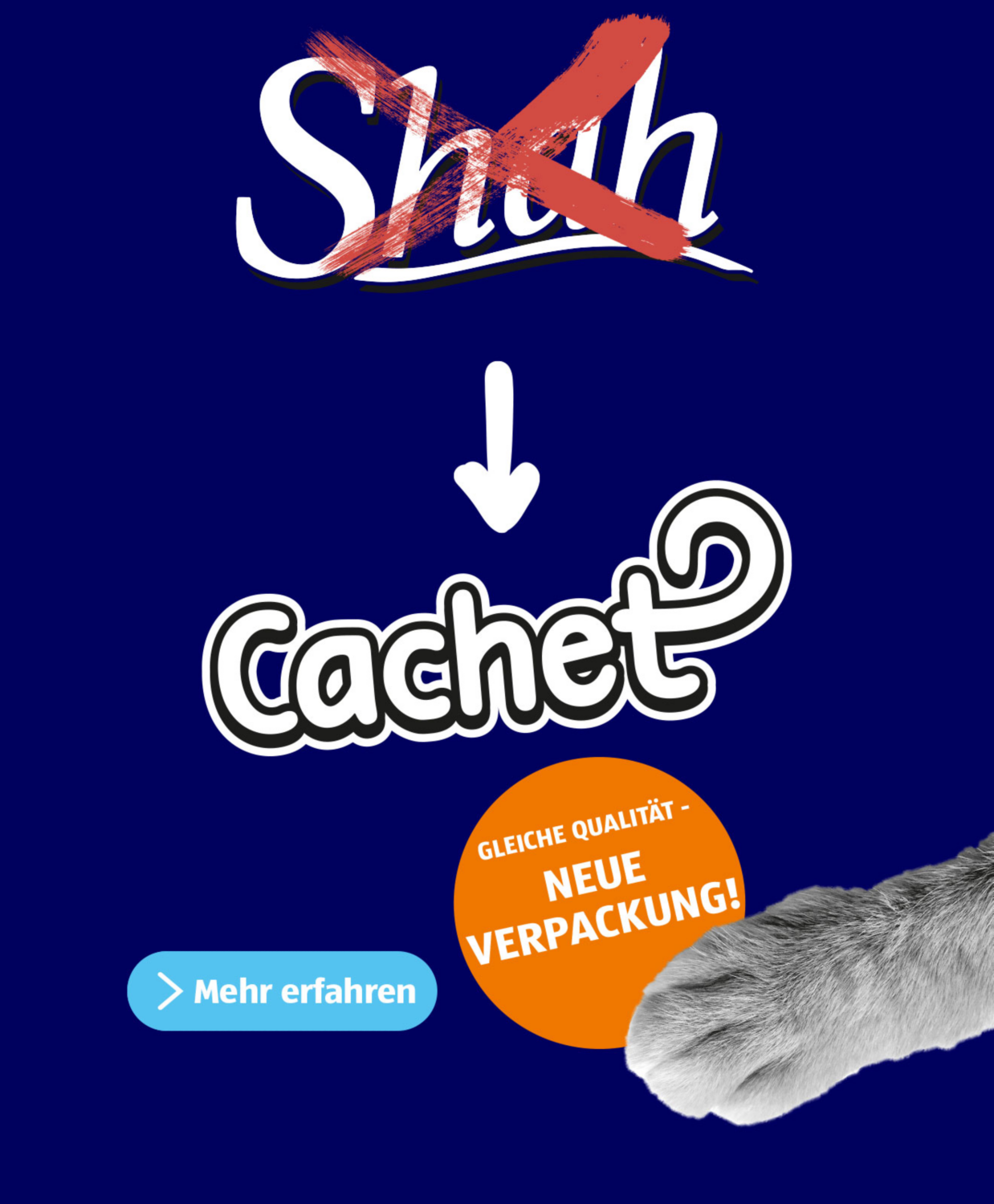 SHAH wird zu CACHET