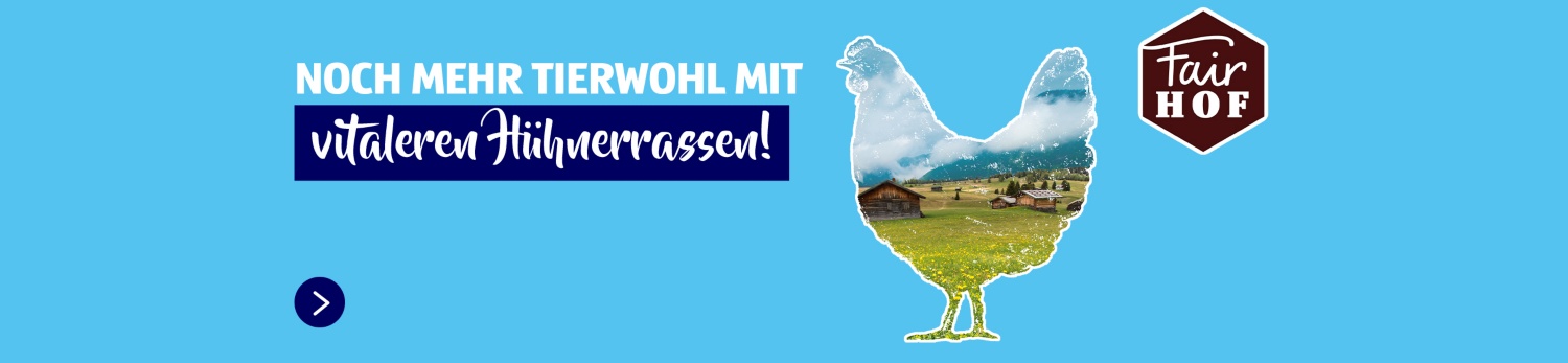 Noch mehr Tierwohl mit vitaleren Hühnerrassen! FairHof.