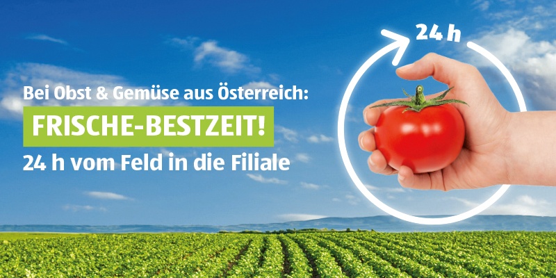 24 h vom Feld in die Filiale