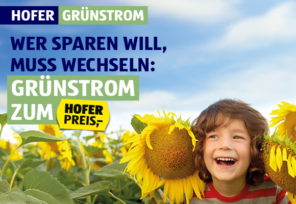 Hofer Grünstrom