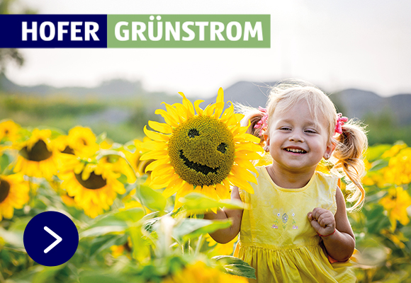 HOFER GRÜNSTROM.