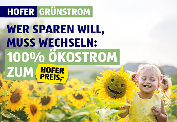 Hofer Grünstrom