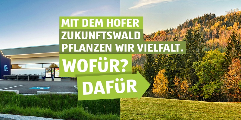Mit dem HOFER Zukunftswald pflanzen wir Vielfalt