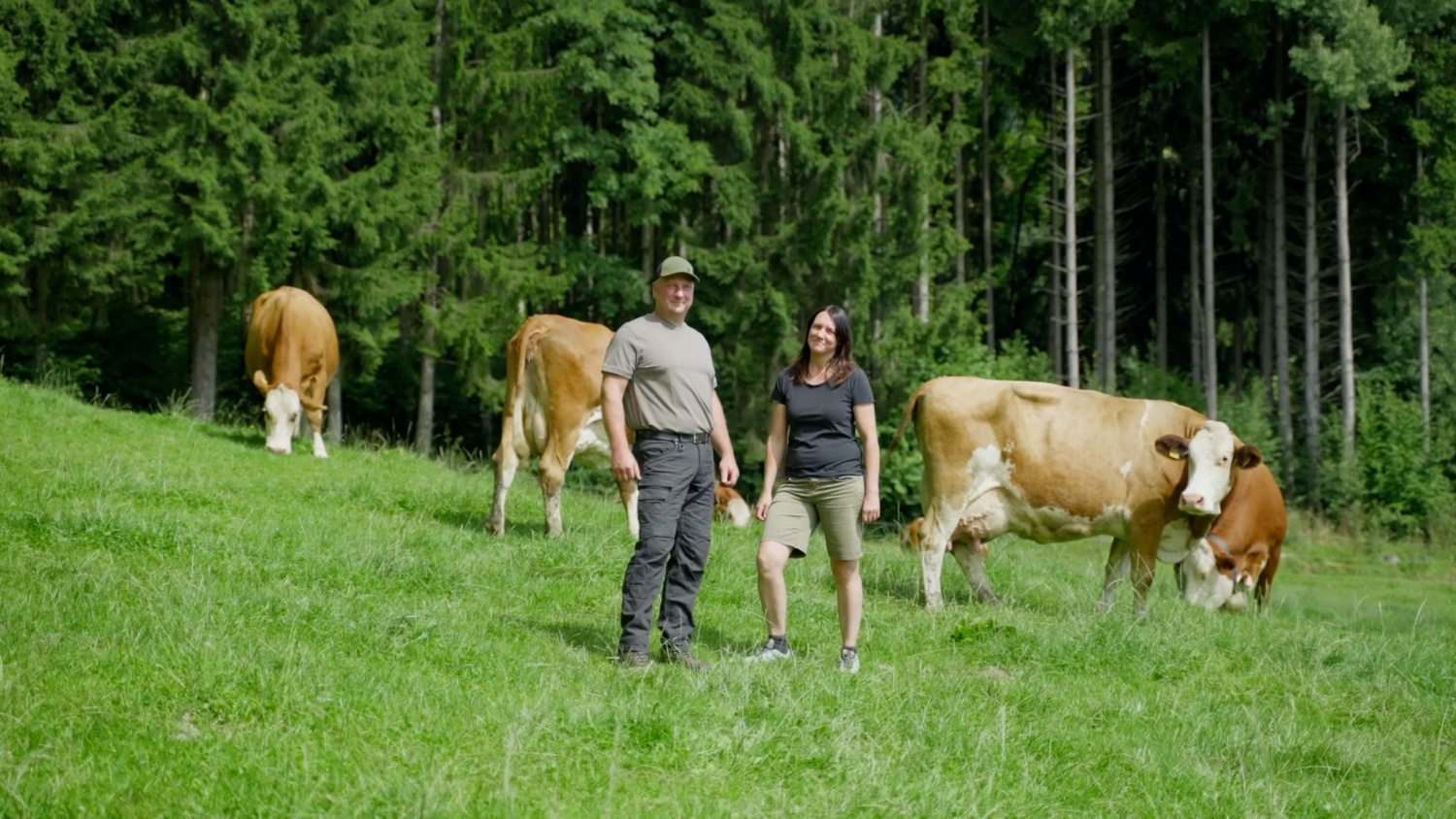 Frau und Mann stgehen auf der Wiese mit Kühen