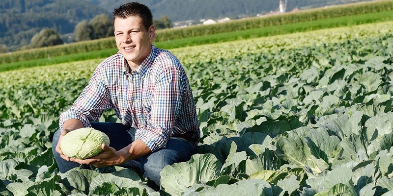 Mann mit karriertem Hemd sitzt im Gemüsefeld.