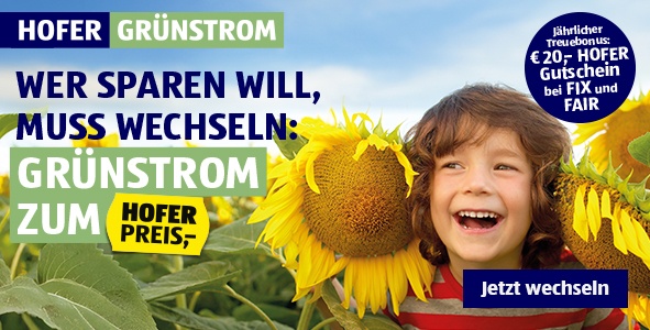 HOFER-Gruenstrom-Banner