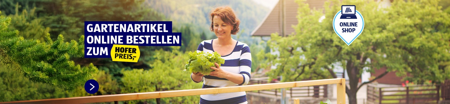 Online Shop Aktionsartikel
