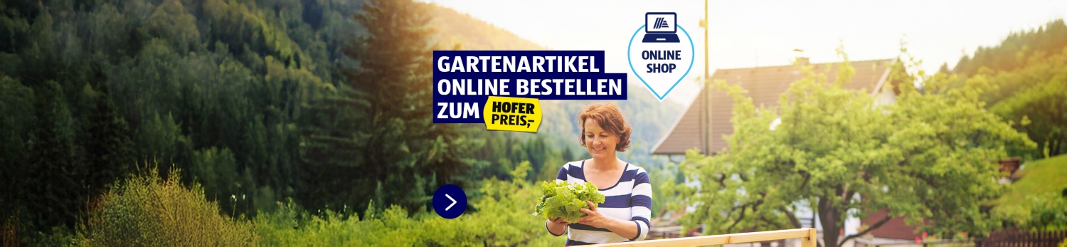 Online Shop Aktionsartikel