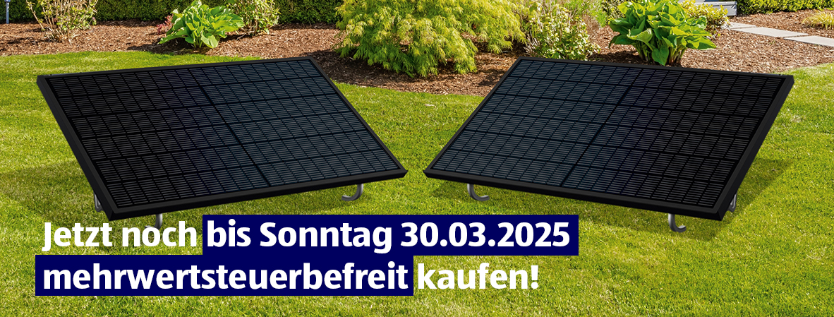 Jetzt noch bis Sonntag, 30.03. mehrwertsteuerbefreit kaufen!
