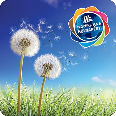 Felelősségvállalás