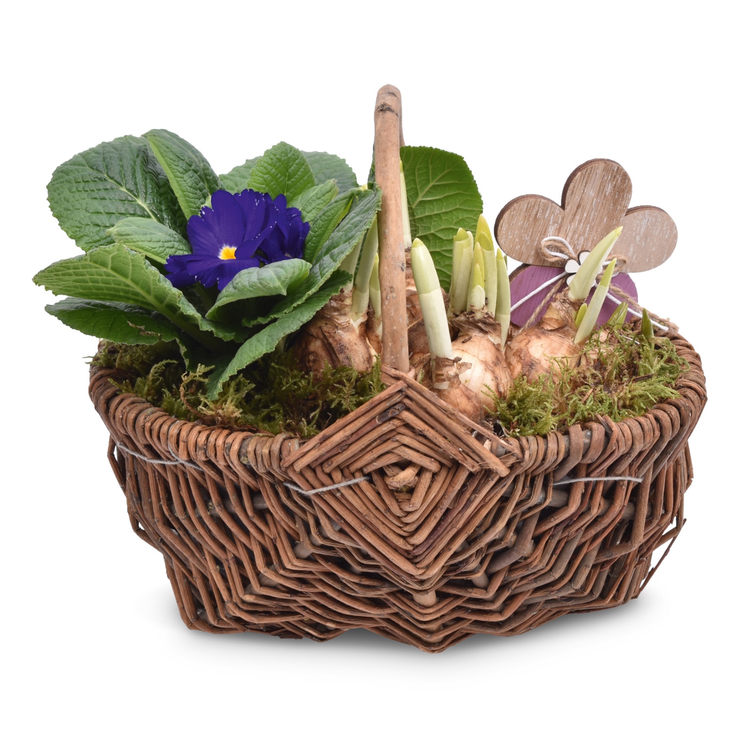 Bepflanzte Frühlings- und Valentinsarrangements