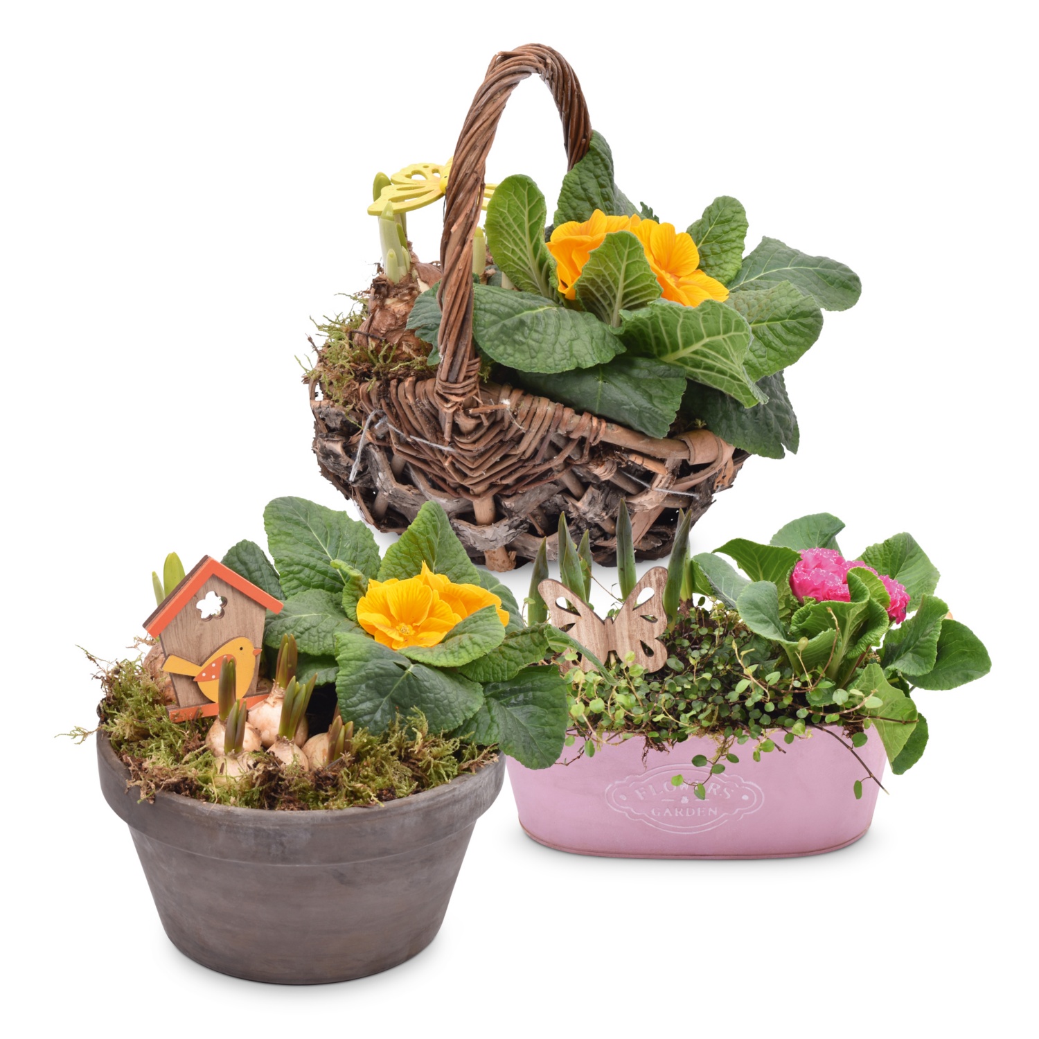 Bepflanzte Frühlings- und Valentinsarrangements