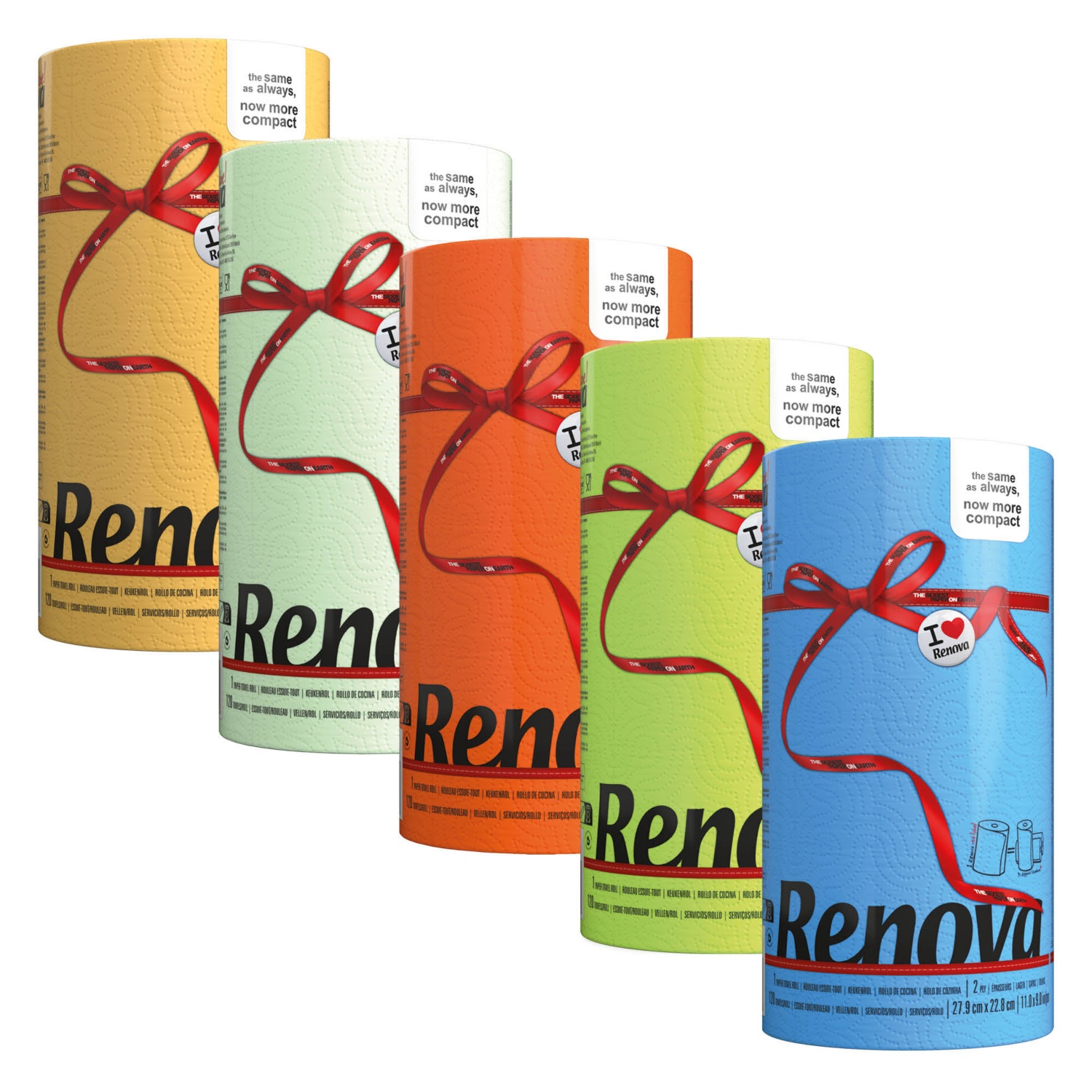 RENOVA Színes papírtörlő