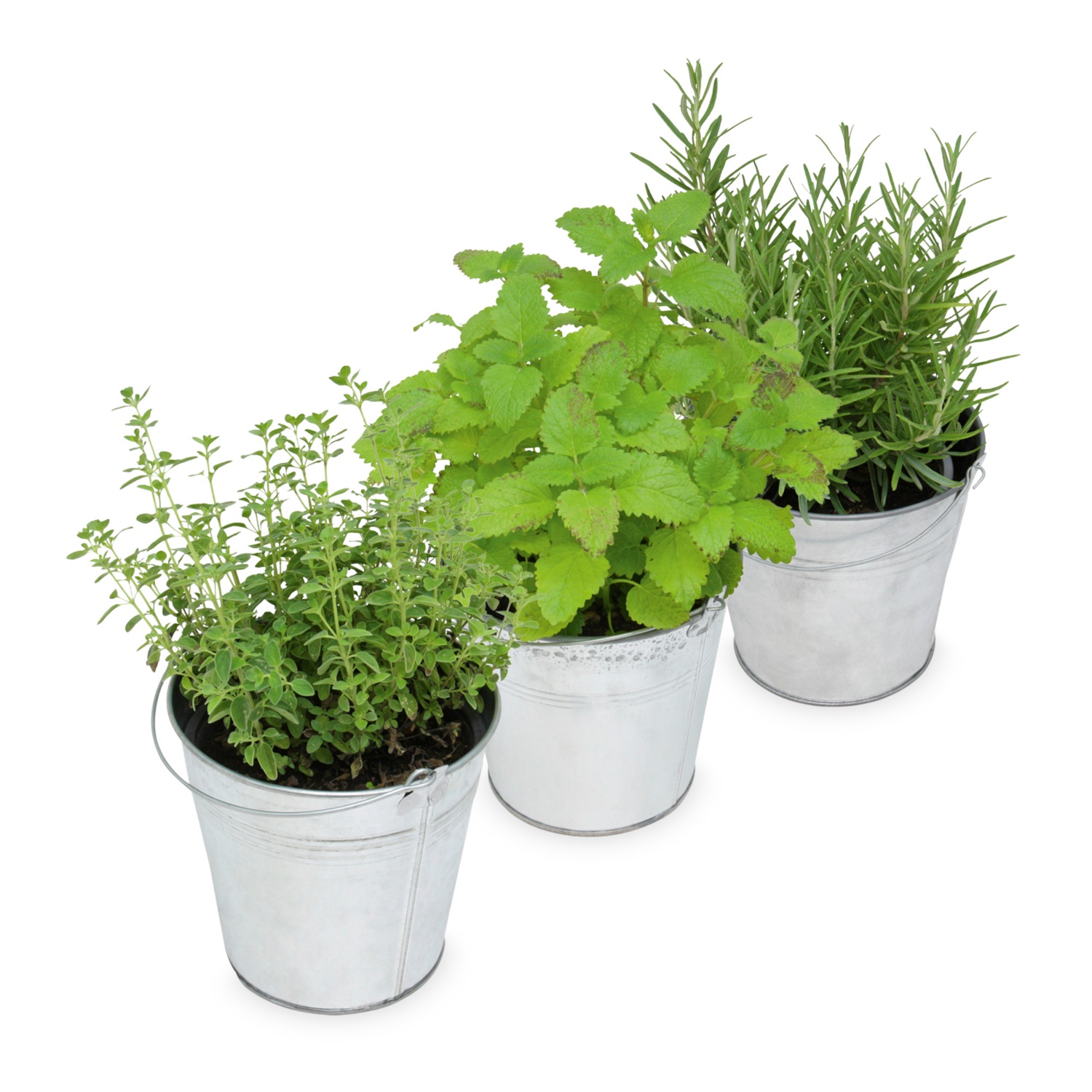 Gewürze im Zinktopf