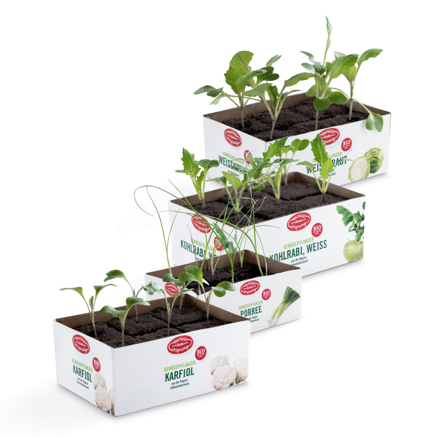 ZURÜCK ZUM URSPRUNG BIO-Gemüsejungpflanzen*