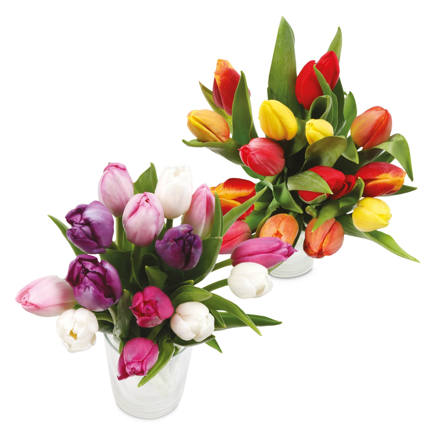 Színes tulipáncsokor