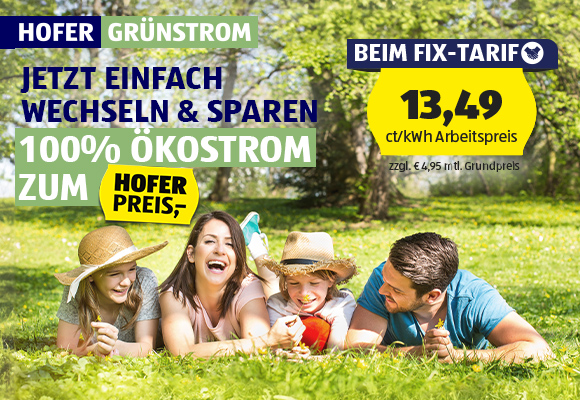 Hofer Grünstrom