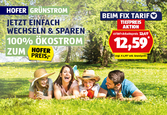 Hofer Grünstrom