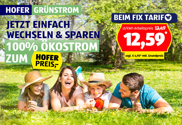 Hofer Grünstrom
