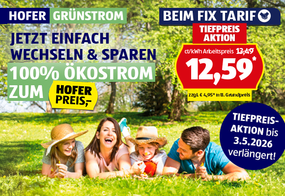 Hofer Grünstrom
