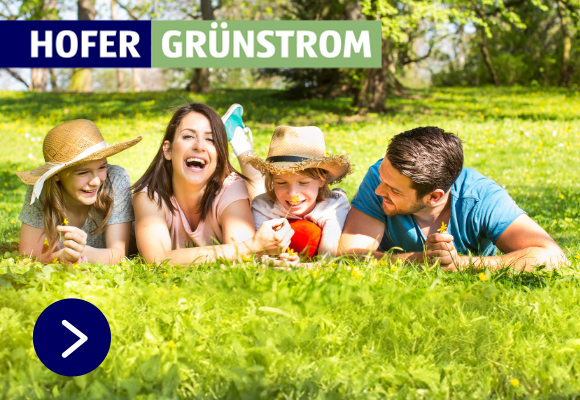 HOFER GRÜNSTROM.