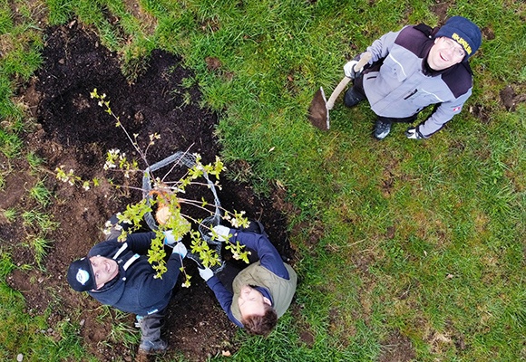 Das Team von ReAl Verbund übernimmt die Grünpflege an ALDI SÜD Filialen.