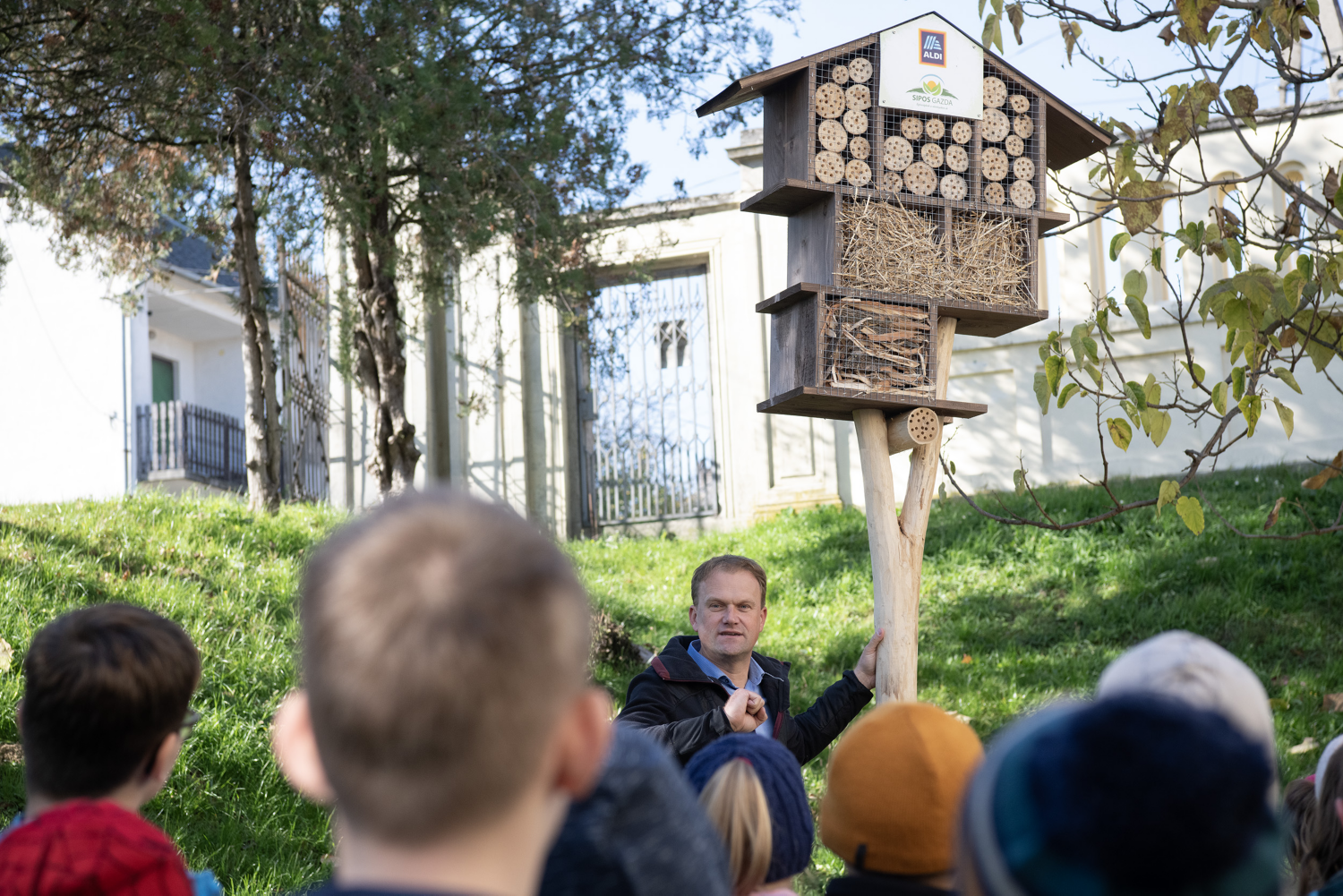 Rovarhotel telepítés Pécs