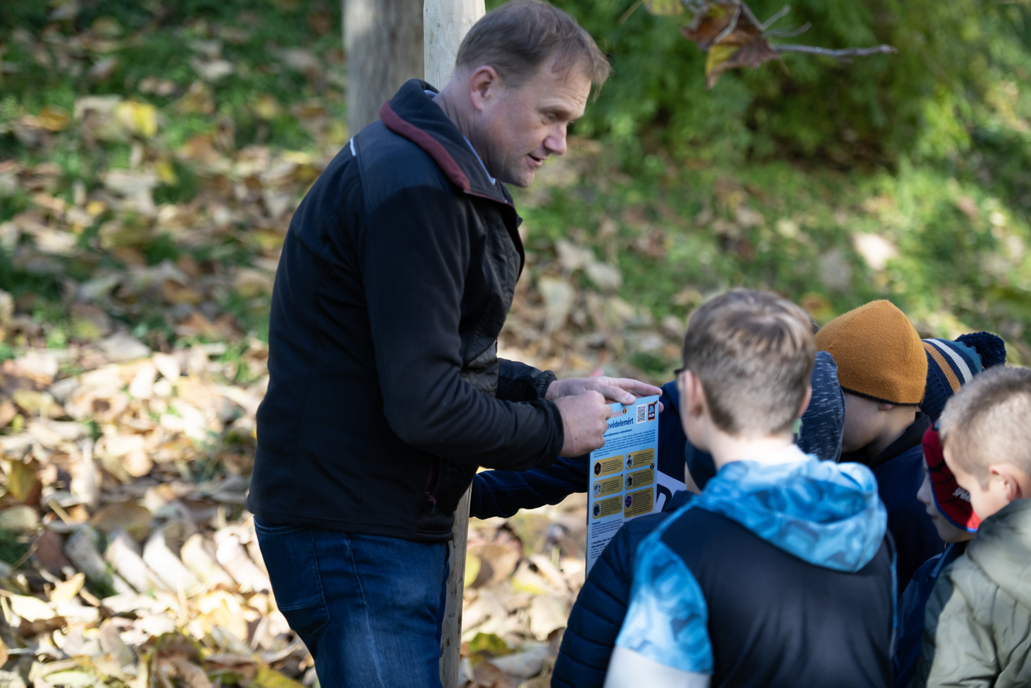 Rovarhotel telepítés Pécs