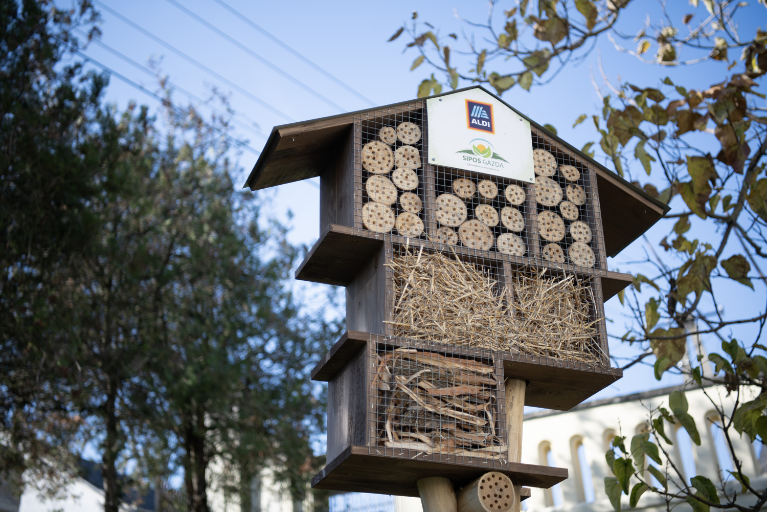 Rovarhotel telepítés Pécs
